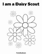Daisy Girl Scout Coloring Scouts sketch template