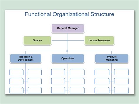 organizational chart  template