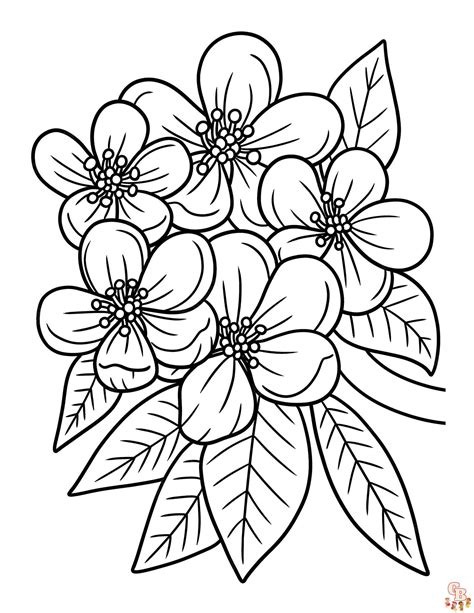 beautiful blossom coloring pages  kids printable