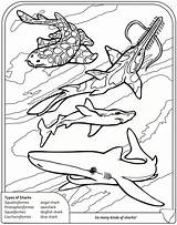 Coloring Pages Shark Goblin Sharks Book Dover Publications Color Ocean Thresher Doverpublications Sheets Colouring Printable Welcome Frilled Kids Getdrawings Getcolorings sketch template