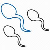 Sperm Semen Icon Sperms Outline Reproduction Fertilization Sex Editor Open 512px sketch template