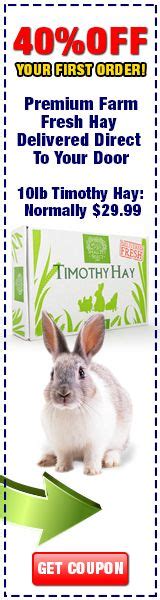 safe foods suitable for rabbits which fruit and