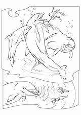 Coloriage Dauphins Colorier Amusent Adultes Chevaux Whales Dolphins Coloriages Hugolescargot Resolution Imprimer sketch template