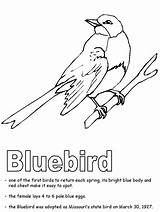 Coloring Bluebird Pages Bird Blue Mountain State Idaho Printable Print Nevada Missouri Birds Children Sheets Activities Mountains Gif Kidzone Ws sketch template
