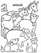 Farm Coloring Animals Printable Pages Animal Macdonald Old Book Print Choose Board Books Kids Sheets sketch template