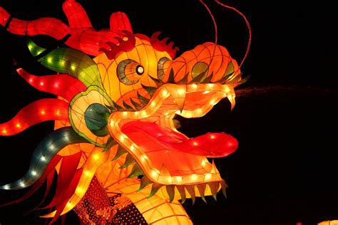 chinese dragons  dragon meanings  whats  signcom