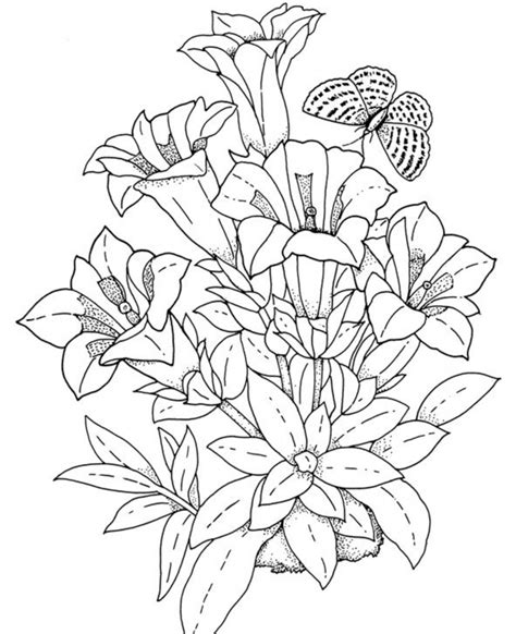 printable realistic flower coloring pages printable world holiday