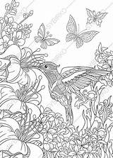 Hummingbird Bird Hummingbirds Hibiscus Mandala Detailed Sheets Freehand Nectar Realistic Zentangle sketch template