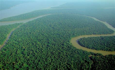 countries sharing  amazon rainforest worldatlas