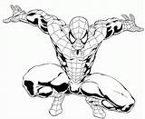 Coloring Pages Ultimate Man Spider Popular sketch template