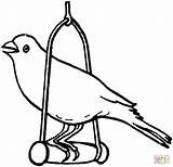 Canary Bird Coloring Pages Printable Supercoloring Color Template Animal Coloringbay Popular sketch template