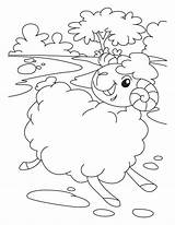 Coloring Sheep Pages Lost Kids Parable Animals Shipping Style Domestic Farm Book Animal Comments Library Clipart Coloringhome sketch template