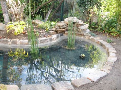 avantapres  bassin pour redonner vie   jardin