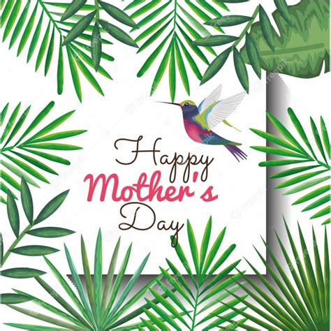 premium vector happy mothers day card  hummingbird  floral decoration