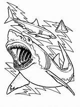 Shark Coloring Pages Great Sharks Drawing Color Teeth Bull Printable Megalodon Clark Sheet Bulls Print Cute Chicago Kids Anatomy Outline sketch template