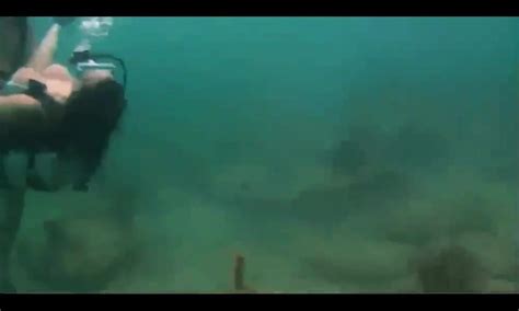 scuba diving couple having sex underwater free hd porn 37