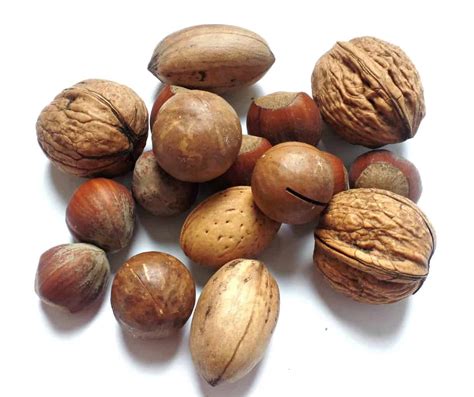 tree nut allergy eating  food allergies