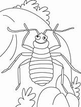 Coloring Pages Bug Bed Earth Recite Mine Insects Kids Color Creatures Species Animals Bestcoloringpages Bedbug Insect Choose Board sketch template