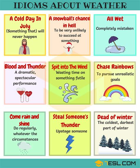 common nature idioms  english  meaning  examples esl