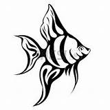 Fish Angel Coloring Drawing Tribal Angelfish Getdrawings Hi Coloringsheet Todays Everyone Latest Posted Which sketch template