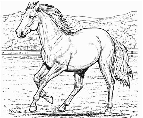 realistic horse coloring pages  print coloring home