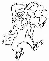 Coloring Monkey Pages Cute Monkeys Printable Animal Comments sketch template