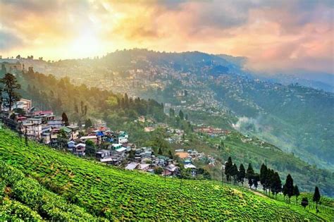 darjeeling hills terai  dooars   state  limbo