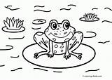Coloring Pages Frog Nature Scenes Sheets Frogs Cartoon Kids Pond Printable Coqui Drawing Color House Toad Cycle Life Print Around sketch template