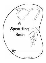 Bean Seed Sprouting Sprout Printable Book Shape Books Enchantedlearning Plant Coloring Germination Beans Science Cycle Template Plants Preschool Activities Kindergarten sketch template