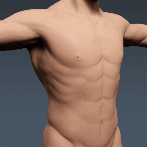 model realistic human male body
