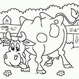 Vaca Vache Colorear Vacas Toros Hermoso Coloriages Bueyes Album Animalespara Chachipedia Rumine sketch template