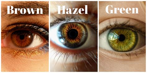 hazel eyes considered itrust