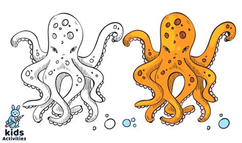 printable sea animals coloring pages kids activities