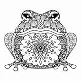 Coloring Frog Pages Adult Mandala Zentangle Prince Hand Stock Drawn Adults Animal Color Book Printable Und Vector Malvorlagen Illustration Colouring sketch template