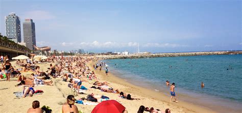 barcelona activities beaches tapas  vibrant culture