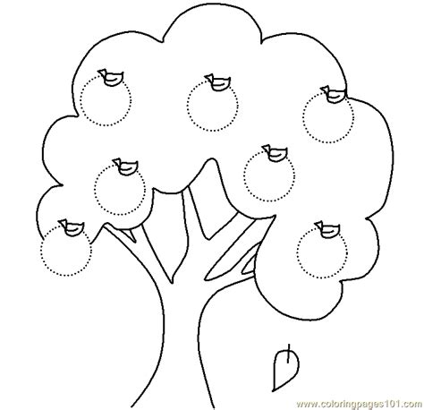apple tree coloring page  printable coloring pages