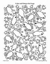 Frogs Coloring Pattern Color sketch template
