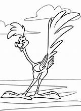 Runner Road Coloring Pages Looney Tunes sketch template