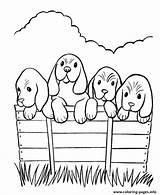 Dogs Printable Coloring Pages Dog Puppies Color Print Colouring Ausmalbilder Puppy Four Hunde Twins 0a53 Para Animal Kids Basket Printables sketch template