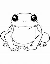 Rana Disegno Frosch Rane Stampare Zum Desenho Sapo Ausmalen Sapos Ausmalbild Frog Rospo Animali Salta Realistico Supercoloring Anfibio sketch template