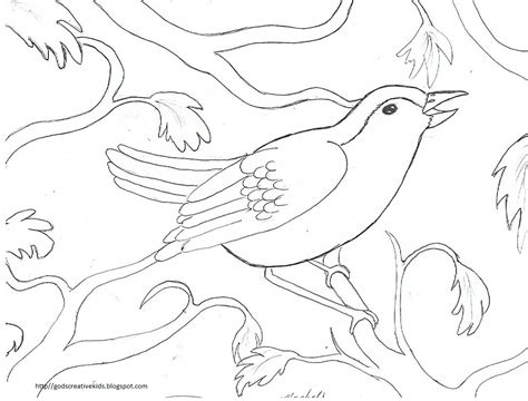 ray chills world bird   tree coloring pages  rachell