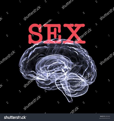 sex on the brain x ray of a brain with the word sex