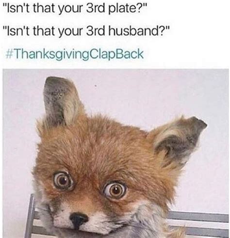 amusing thanksgiving related photos memes and humor thechive
