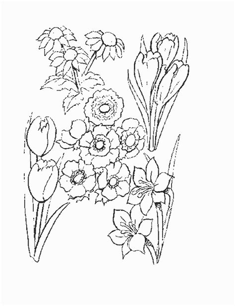 flowers coloring pages  kids updated