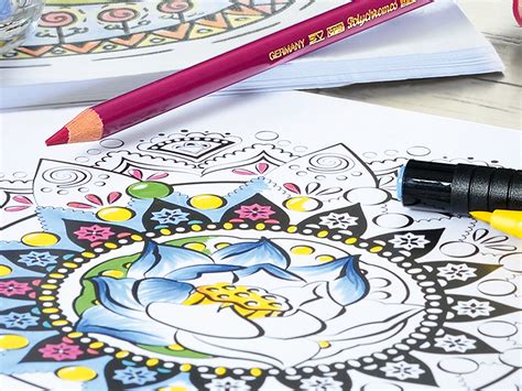 adult colouring book craze prompts global pencil shortage the independent