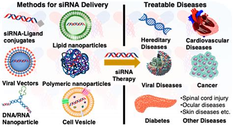 Emergence Of Small Interfering Rna Based Gene Drugs For Various