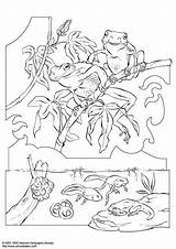 Antonio Malvorlage Tree Kleurplaat Coloriage Baumfrosch Rana Dibujo Rainette Boomkikker Ausmalbild Abbildung Große Grande Schulbilder Téléchargez sketch template