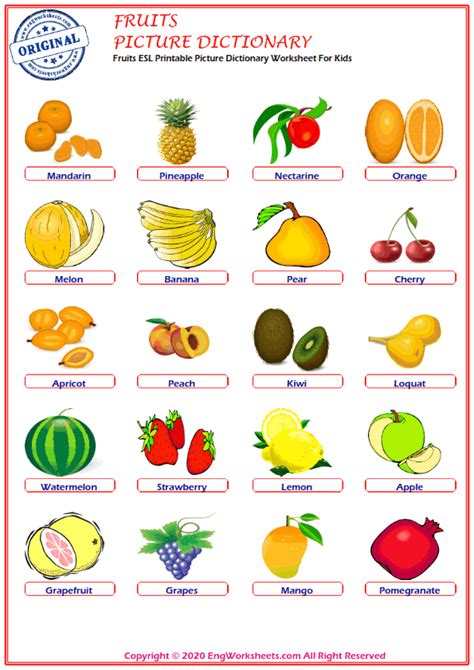 fruits match  worksheet  printable   children simple