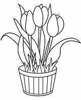 Kwiaty Kolorowanka Doniczce Tulips Kolorowanki Tulipany Druku Dla Malowanka Wiosna sketch template