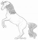 Rearing Horse Coloring Comments sketch template